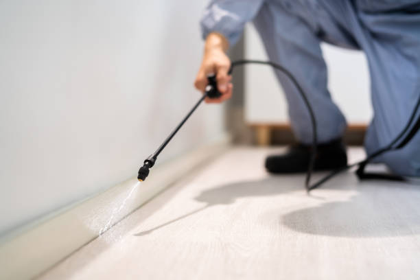 Licensed Exterminator service in Purcellville, VA - Show Me Pest Control