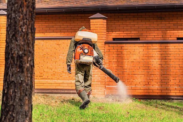 Bed Bug Clearance Verification and Documentation in Purcellville